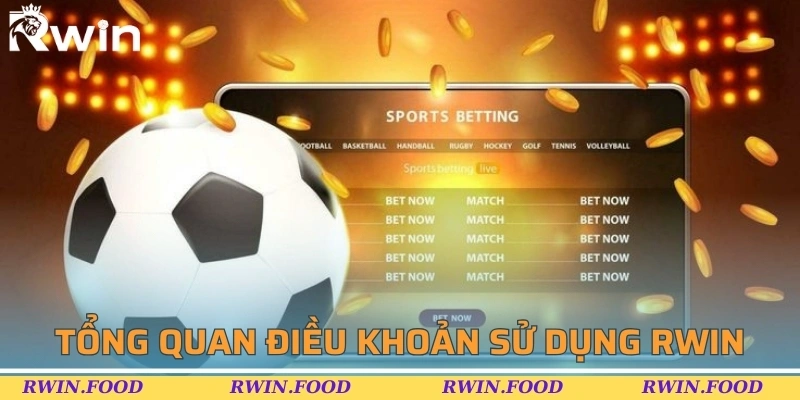 Tổng quan th&ocirc;ng tin về điều khoản sử dụng RWIN